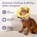 Adjustable waterproof sunflower shape Elizabethan collar on a small dog