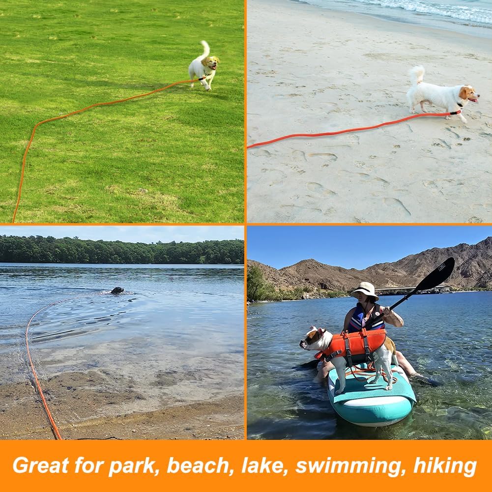 Vivifying bright orange long dog line leash for lake swimming