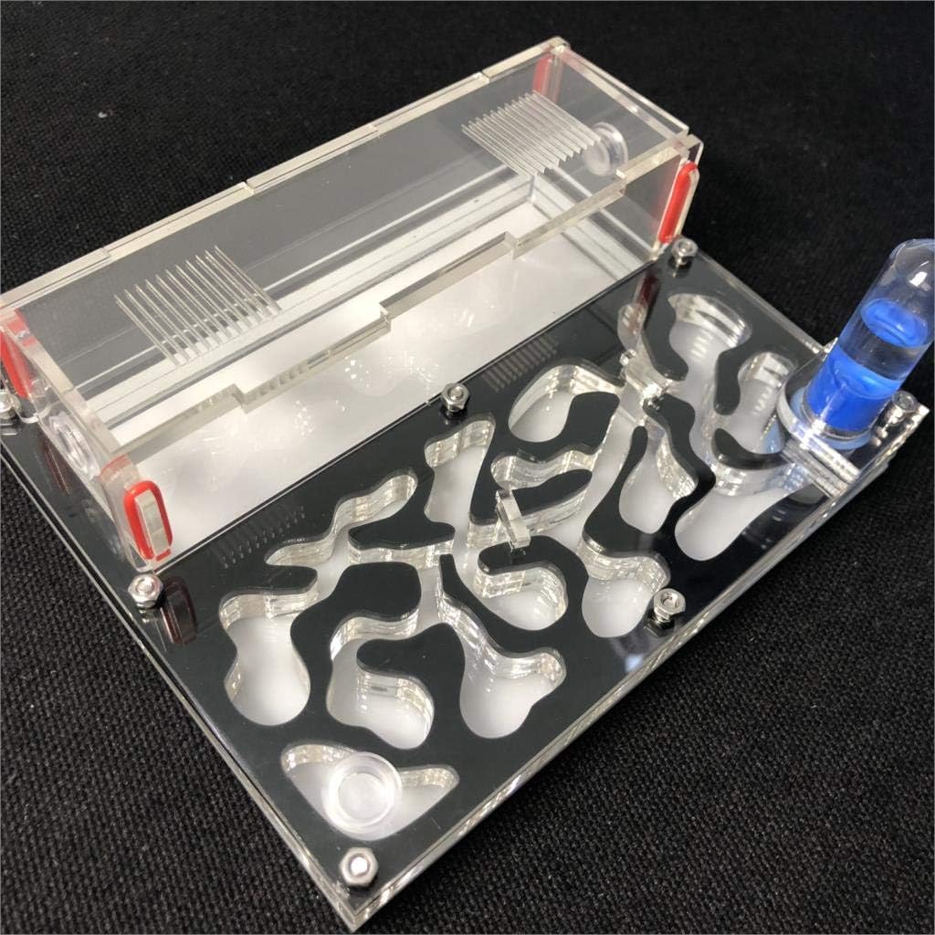ANT GRAPE acrylic ant farm nest front view showing black frame and transparent observation chambers.