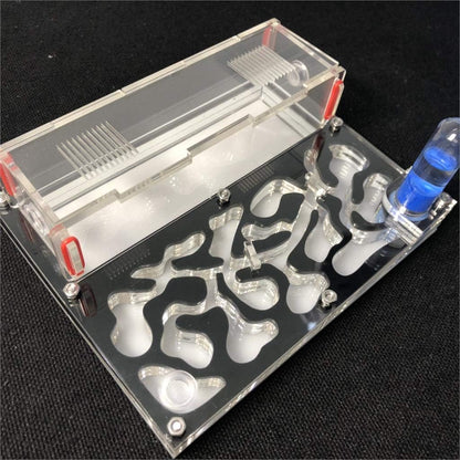 ANT GRAPE acrylic ant farm nest front view showing black frame and transparent observation chambers.
