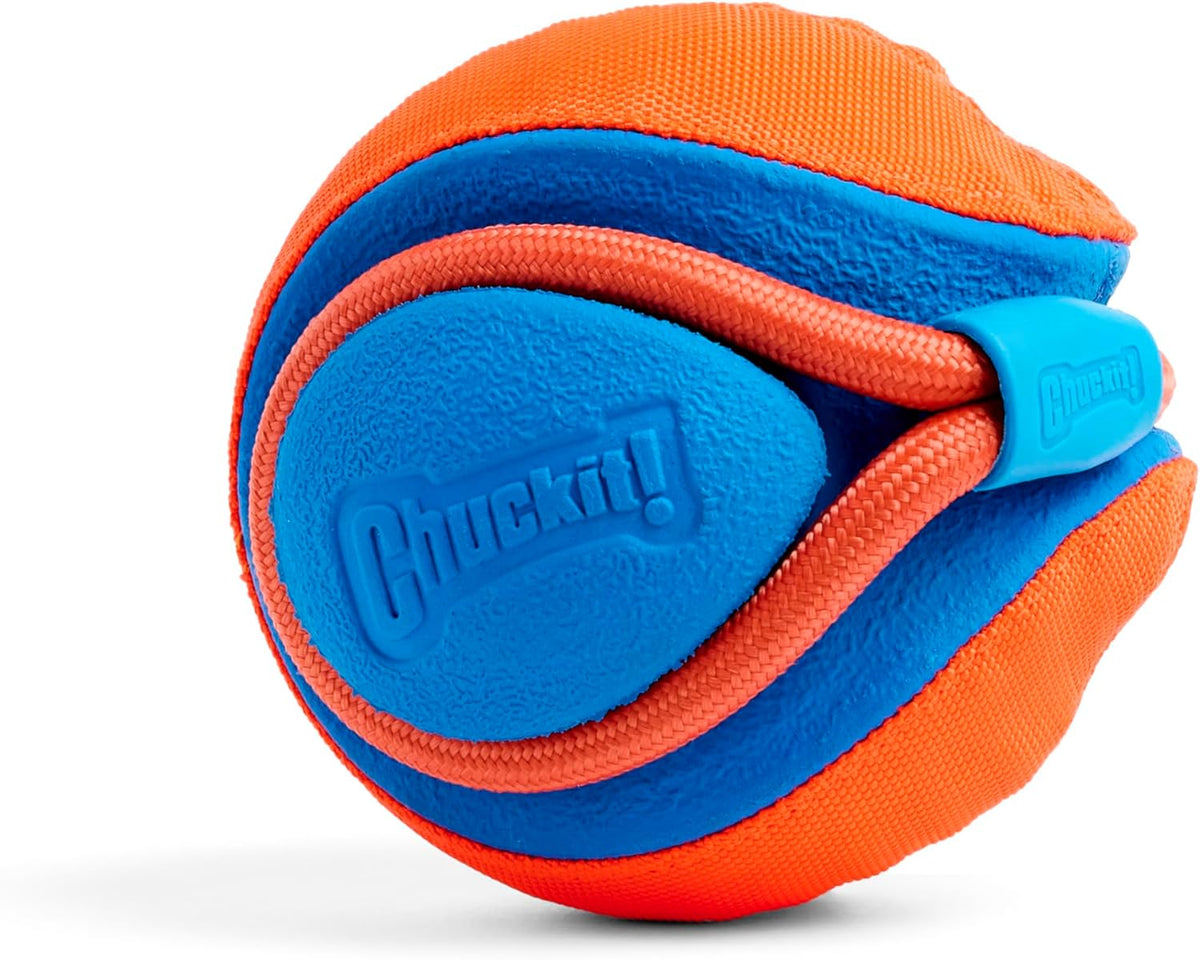 High visibility orange and blue Chuckit dog toy on grass during outdoor fetch