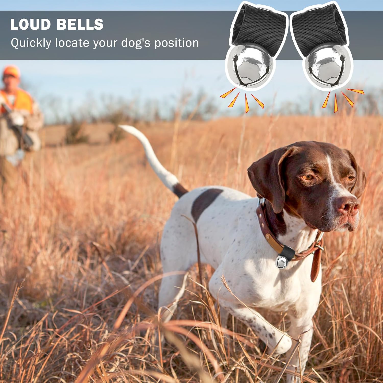 Two pack of authentic imported SCENEREAL pet collar bells