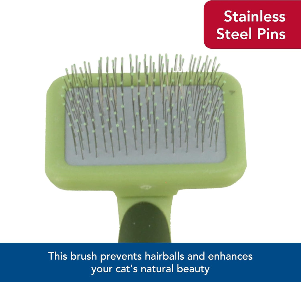 Coastal Pet Safari cat grooming brush displayed on a flat surface