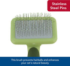 Coastal Pet Safari cat grooming brush displayed on a flat surface