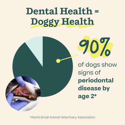 Pet parent mixing WOOF doggy dental powder with water in a shaker bottle