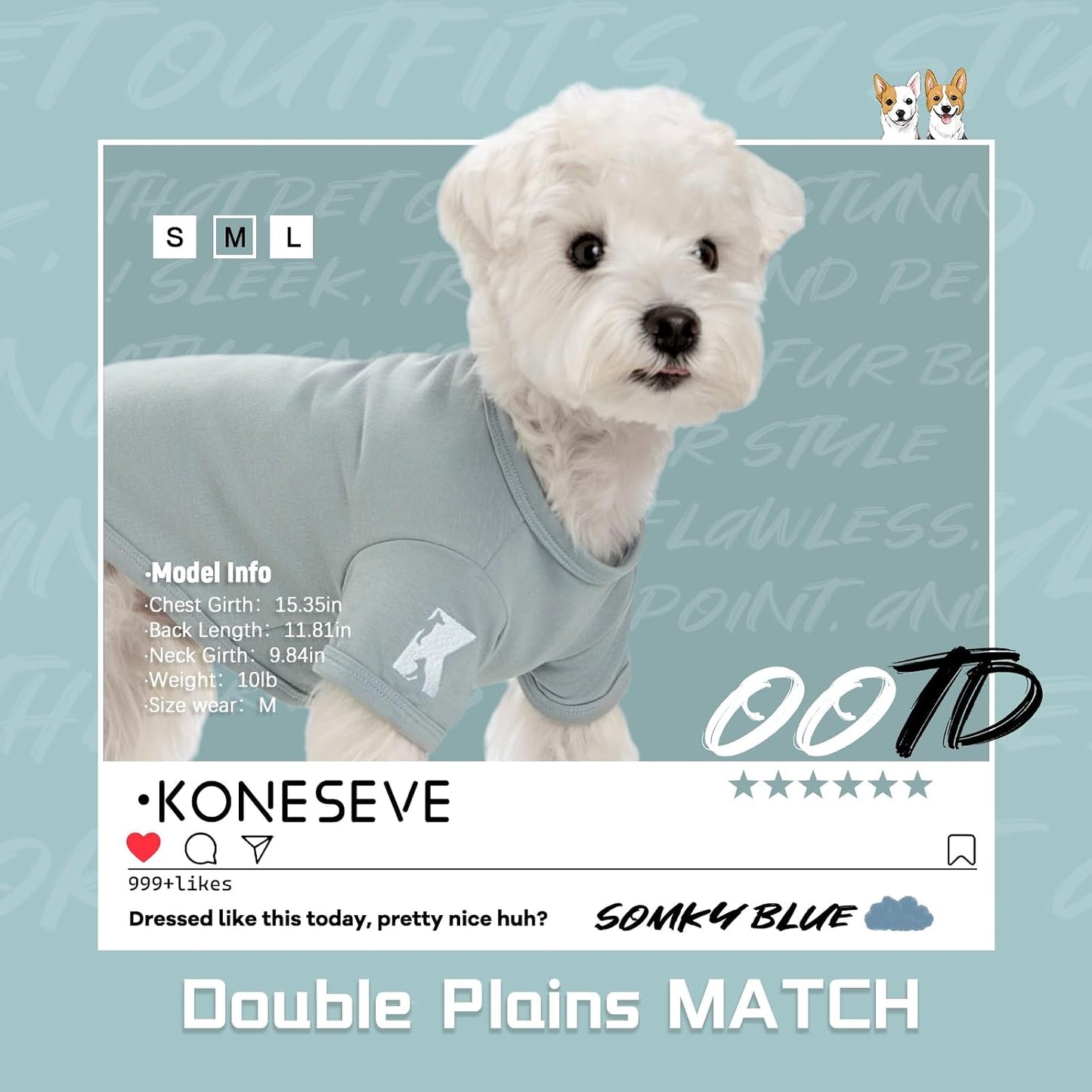 Small dog wearing Koneseve cotton shirt with sleeve logo