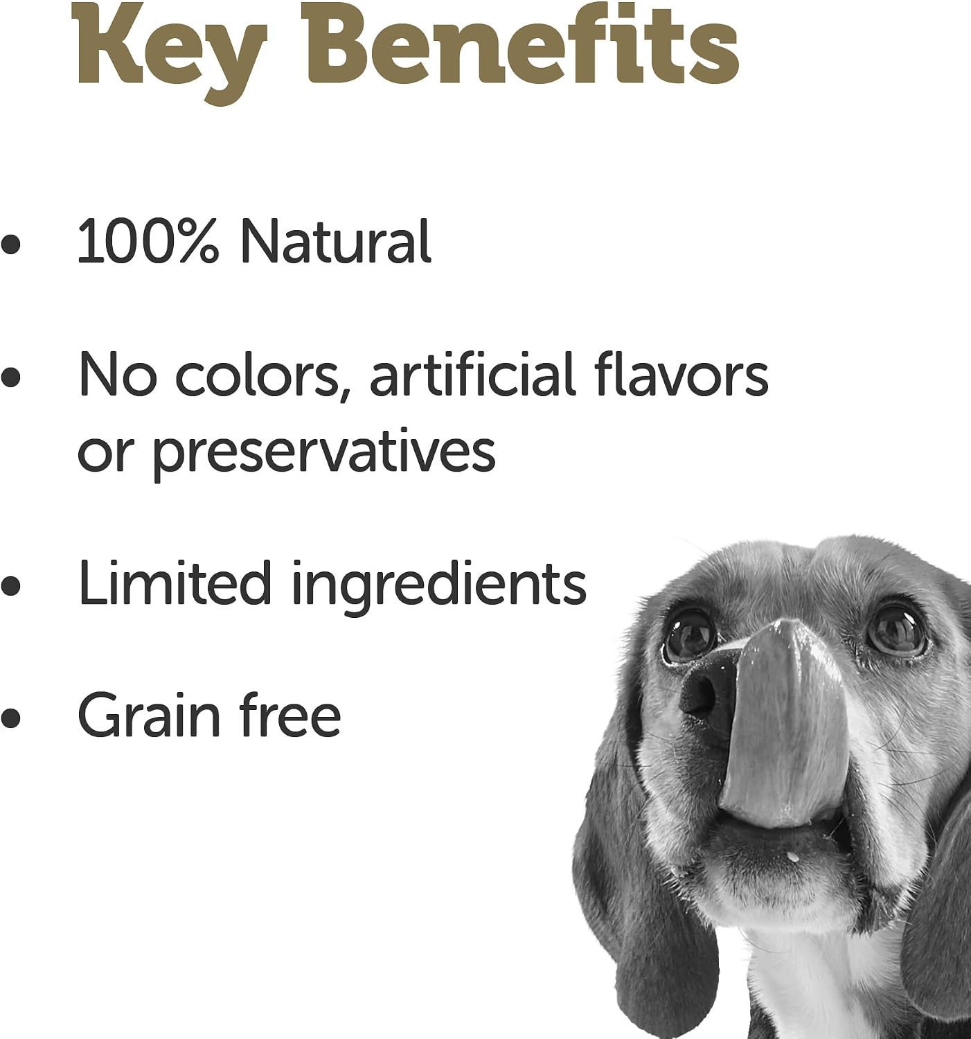 Applaws dog food topper mixed with dry kibble in a bowl