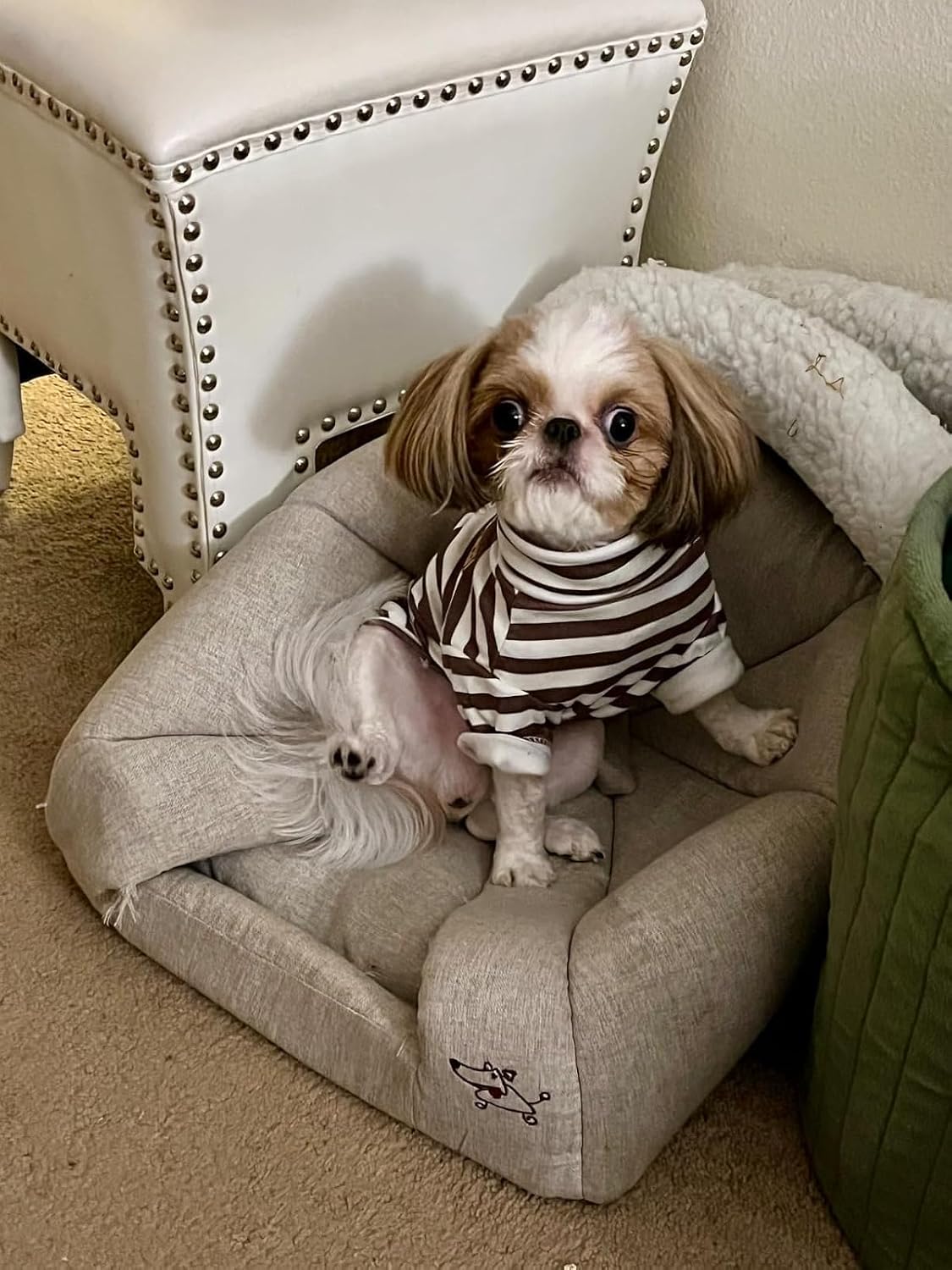 X-Large pet apparel close up emphasizing the snug armhole construction