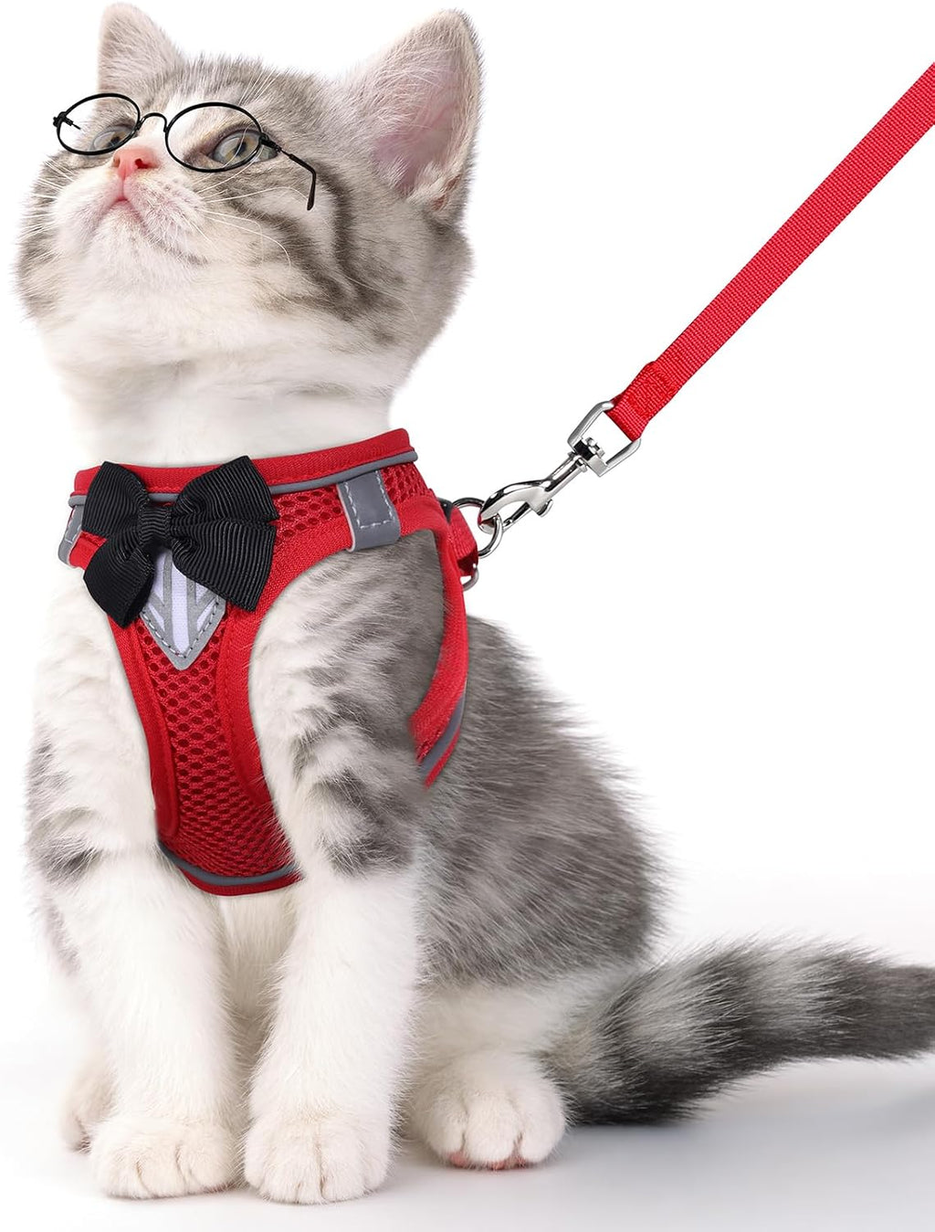 Cat Vest Harness and Leash Set for Walking Escape Proof, Adjustable Kitten Harness Breathable Mesh with Reflective Strips Harness for Kitty Puppy Bunny (Blue, XS) - Image 9