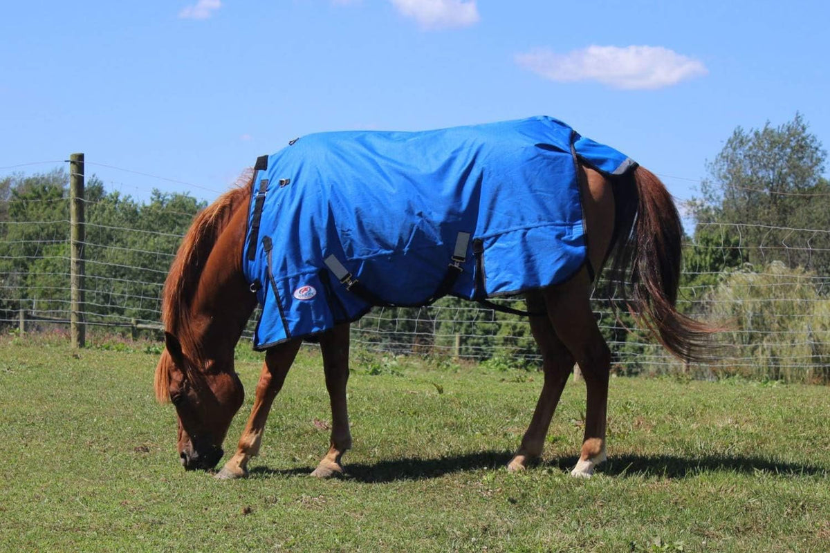 Smooth 210T lining and adjustable neck straps on horse winter blanket