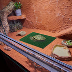 Yardwe artificial turf mat installed on a turtle basking platform setup.
