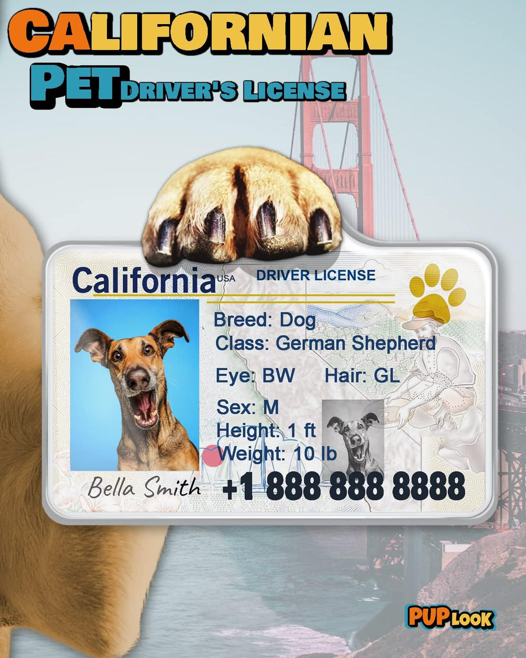 Weatherproof aluminum personalized cat ID tag with funny restrictions text.