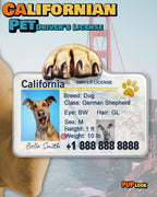 Weatherproof aluminum personalized cat ID tag with funny restrictions text.