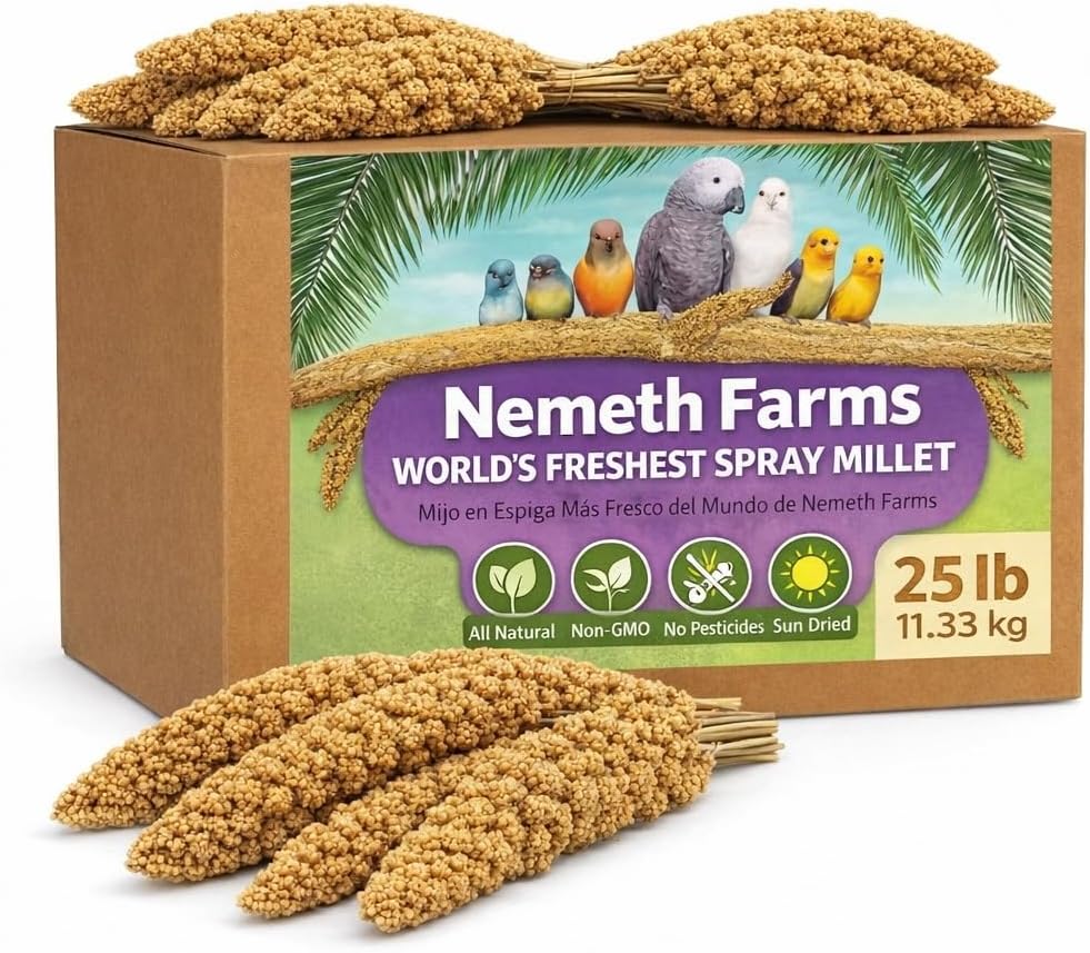 Nemeth Farms Spray Millet - Edible Tops Only, Non-GMO and Sun-Dried - 1 lb for Parakeets, Canaries and Finches - Image 12