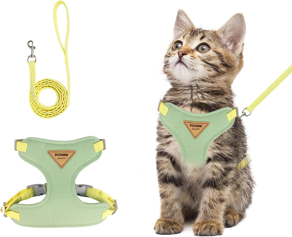 Wanheart premium imported pet harness and leash set packaging view