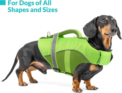 Queenmore ripstop dog lifesaver belly view showing secure quick-release buckles