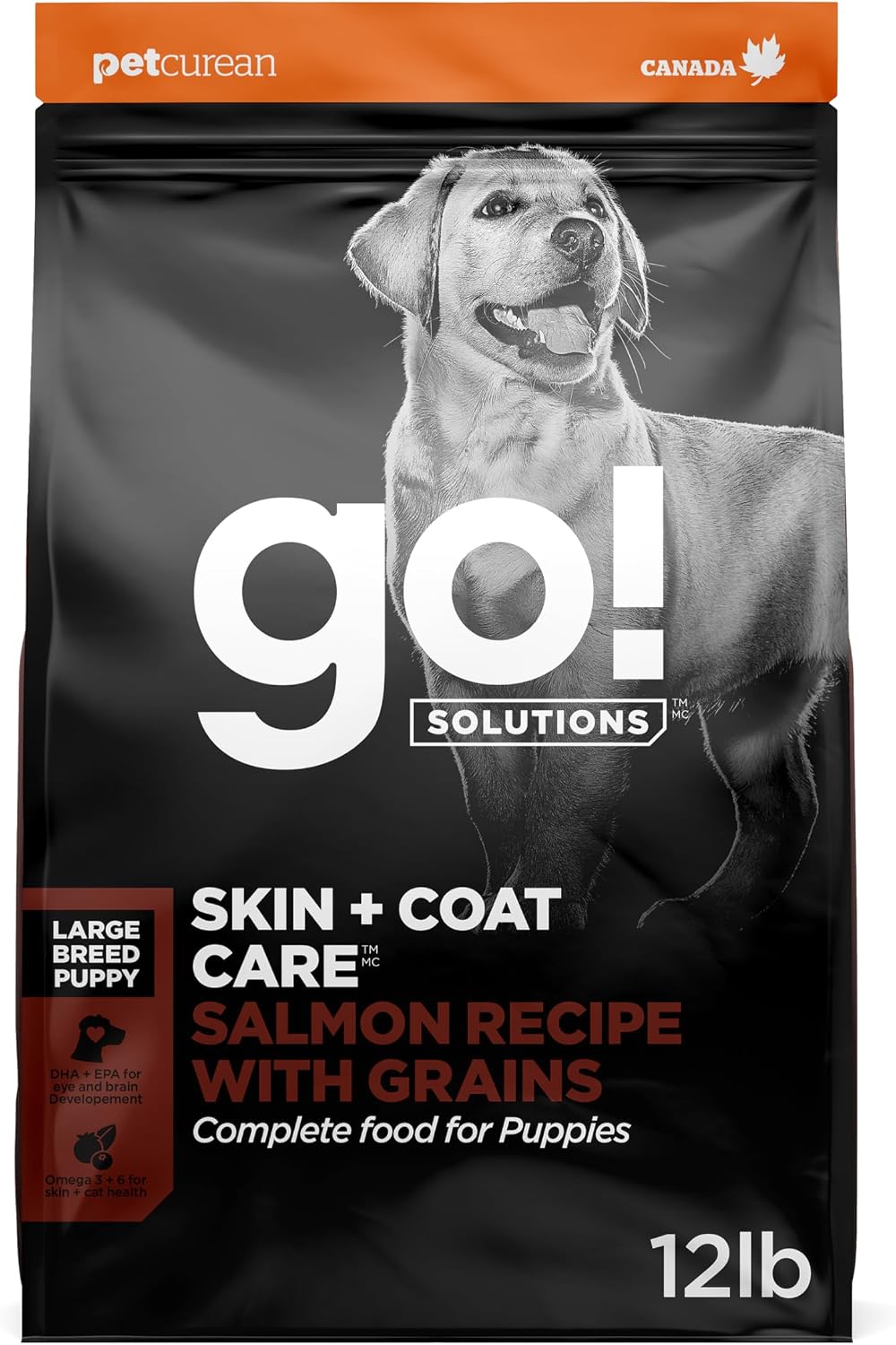 Go! Solutions Skin + Coat Care Salmon Dry Dog Food, 22 lb | With Grains, Supports Healthy, Hydrated Skin & Soft, Shiny Fur, Paw Pad Health & Digestion, For Puppies, Adults & Seniors - Image 12