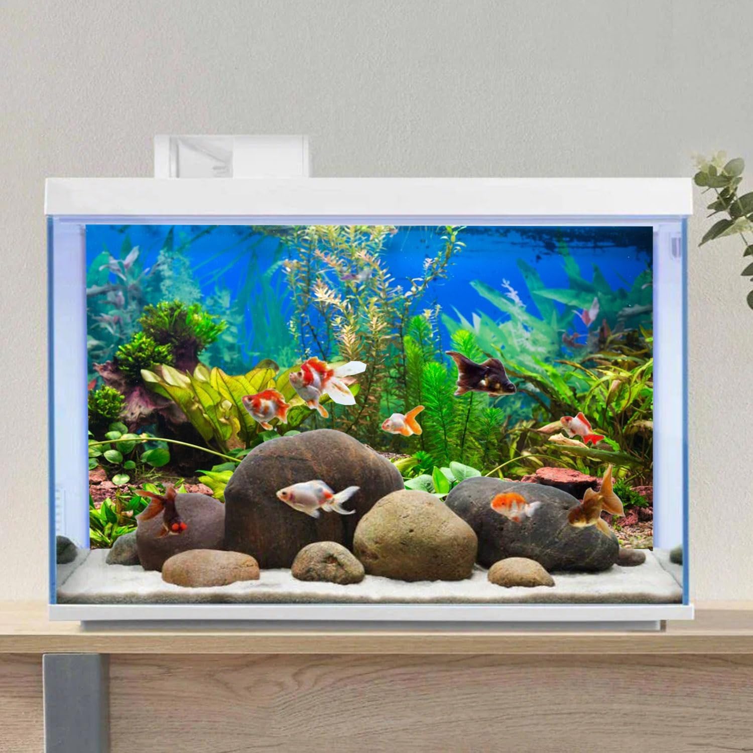 High-definition underwater scenery print of the AWERT aquarium backdrop showing depth dimension.