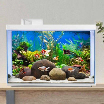 High-definition underwater scenery print of the AWERT aquarium backdrop showing depth dimension.