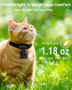 Dog wearing AEZ Pet Camera Collar