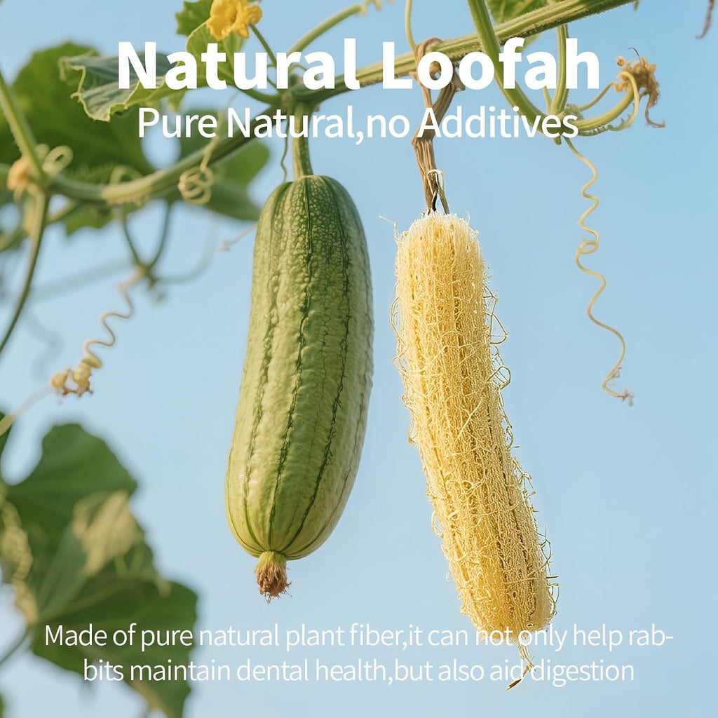 Three cylindrical loofah treats showing the hollow center design for food stuffing