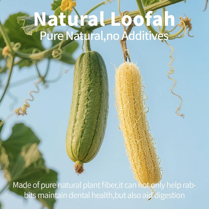 Three cylindrical loofah treats showing the hollow center design for food stuffing