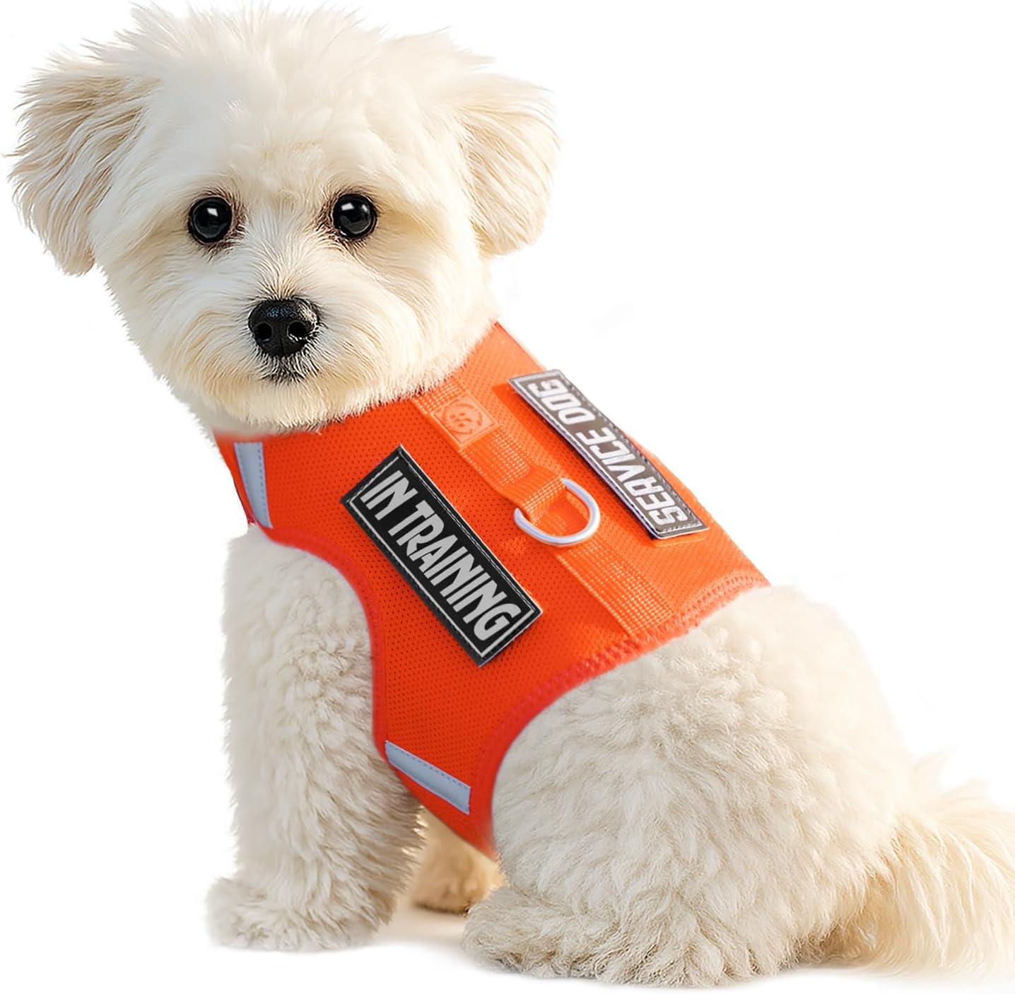 Dog Harness for Puppy - Adjustable Reflective Easy Put On Soft Mesh Vest for Small Dogs with 2 Patches (MARRS Green,XXS) - Image 12