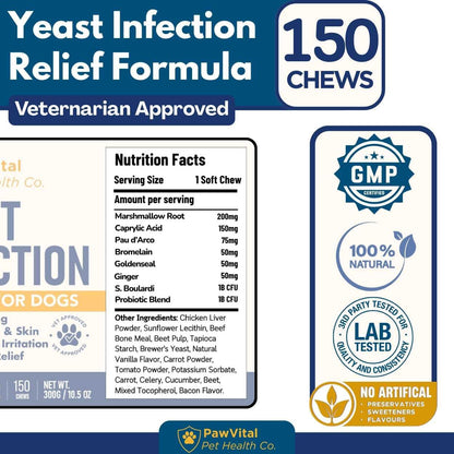PawVital vet approved dog allergy and itch relief chews lifestyle view.