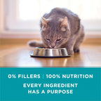 Purina ONE Natural, High Protein Cat Food Variety Pack, Turkey, Chicken and Tuna Recipes - (2 Packs of 12) 3 oz. Cans - Image 9