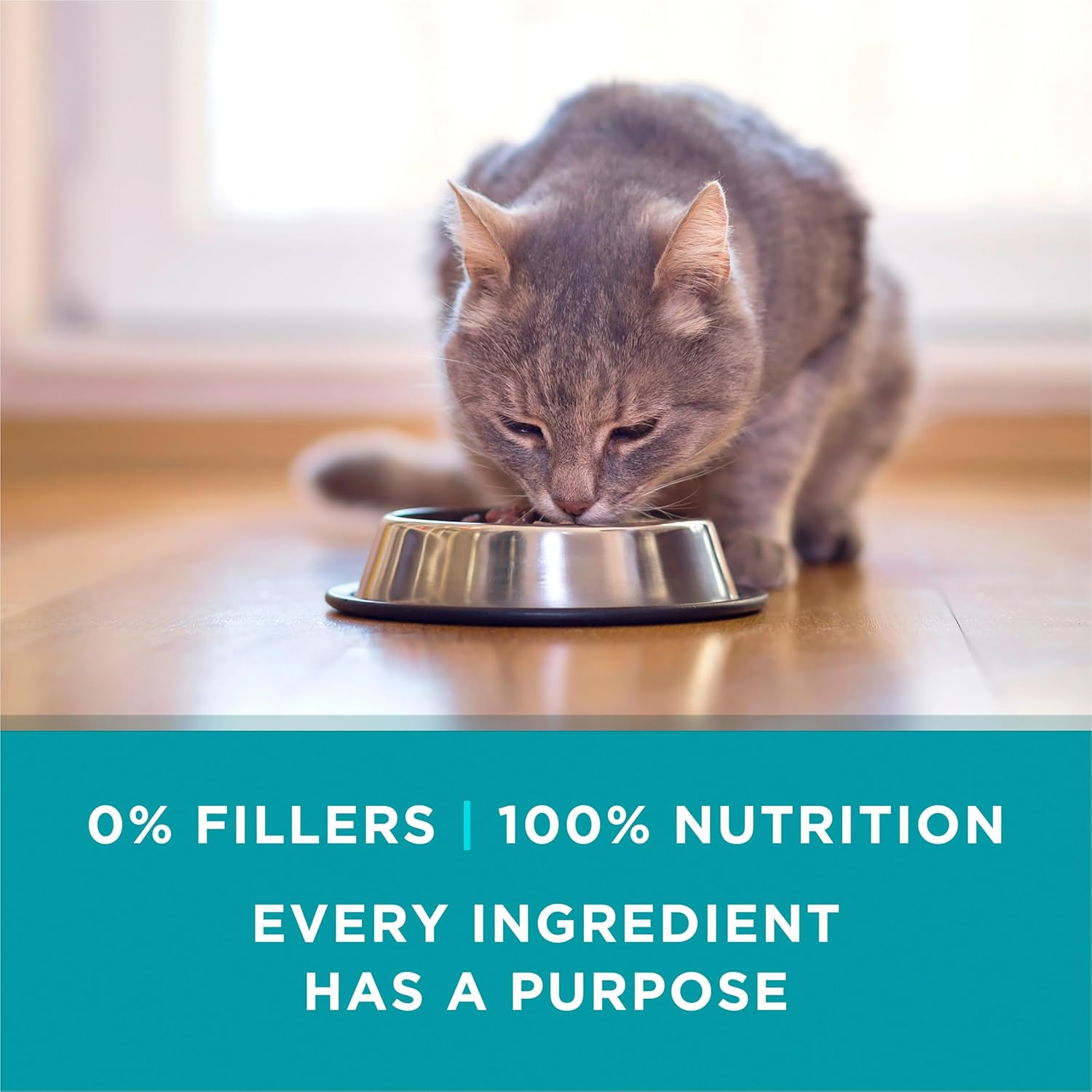 Purina ONE Natural, High Protein Cat Food Variety Pack, Turkey, Chicken and Tuna Recipes - (2 Packs of 12) 3 oz. Cans - Image 9