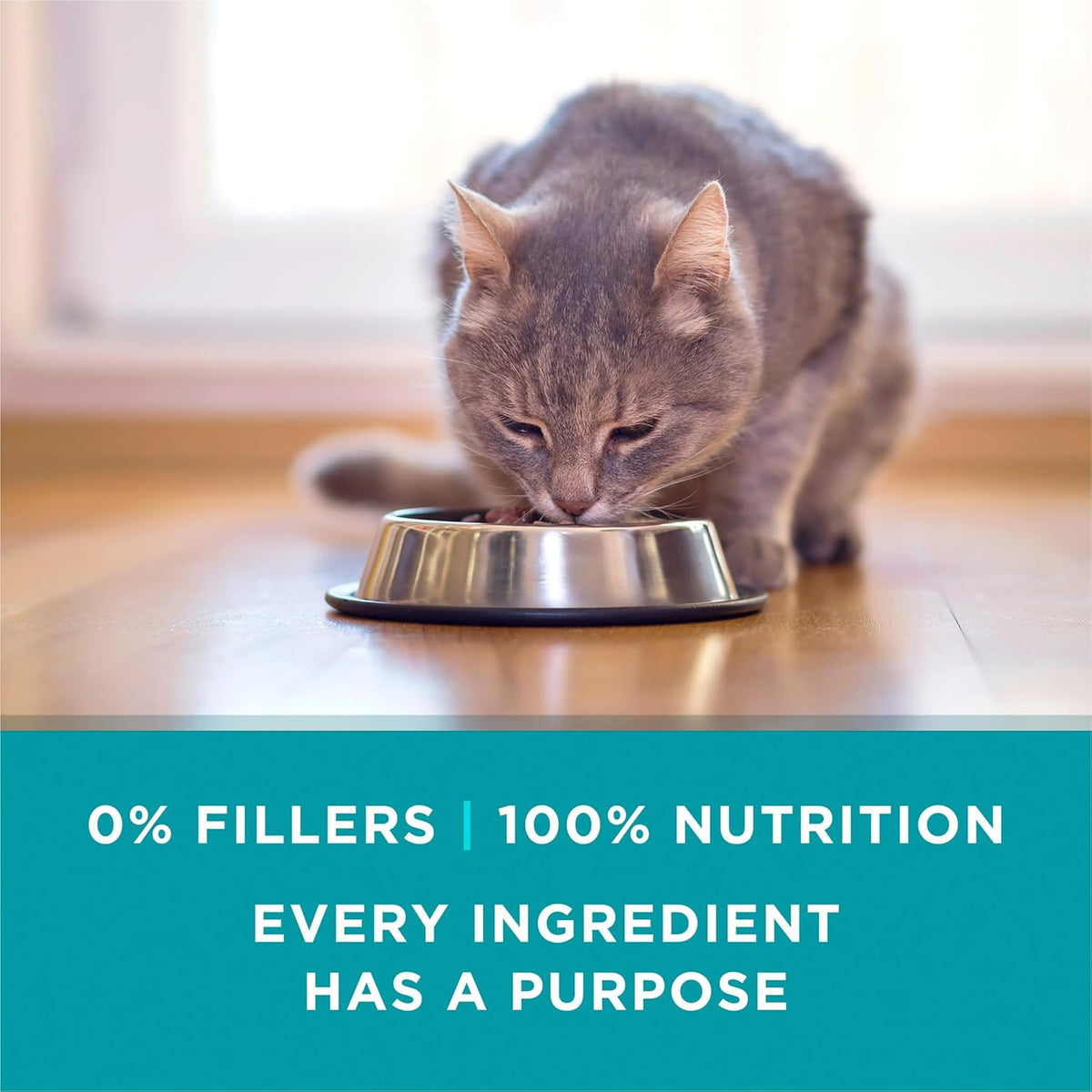 Purina ONE Natural, High Protein Cat Food Variety Pack, Turkey, Chicken and Tuna Recipes - (2 Packs of 12) 3 oz. Cans - Image 9