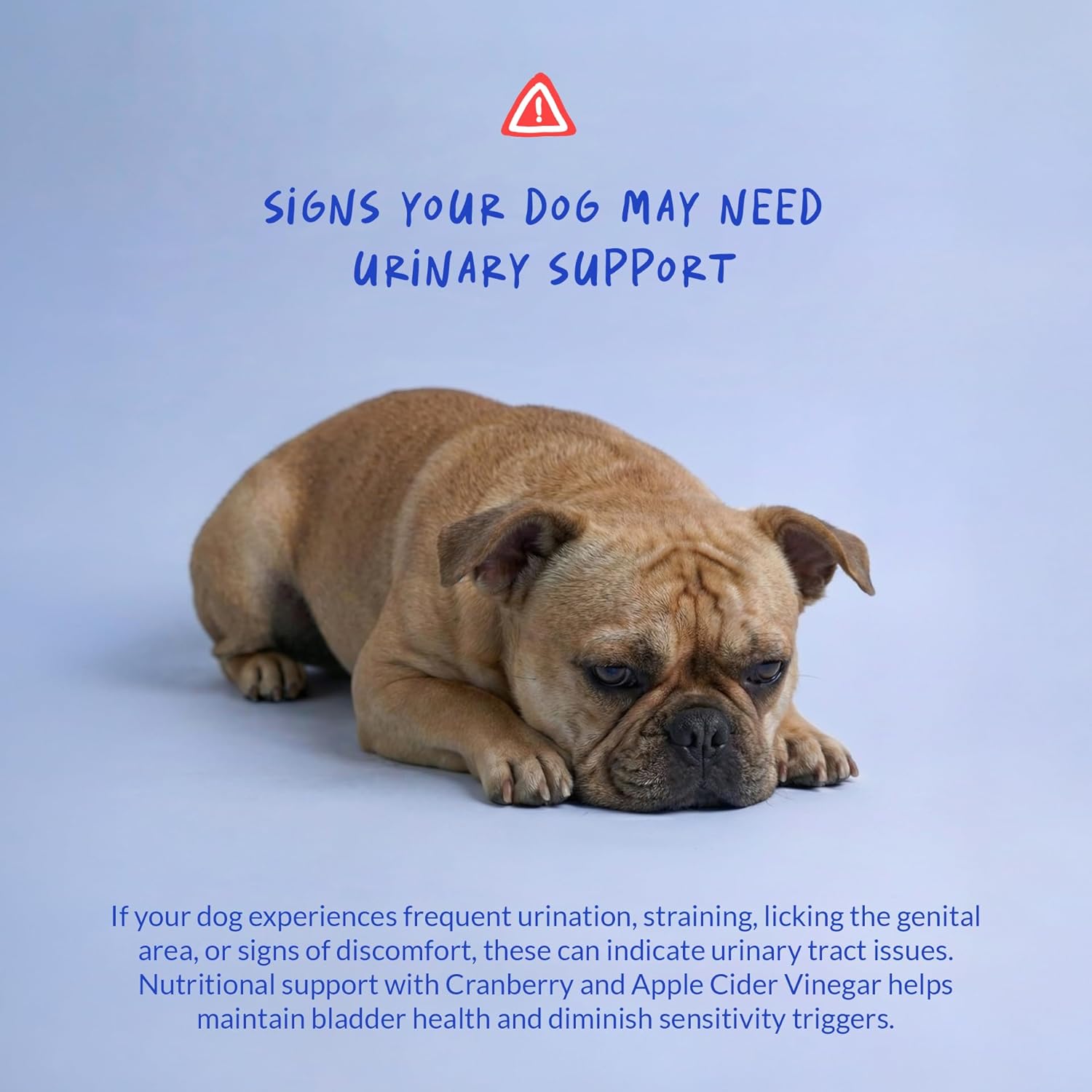 Back label of Coco and Luna urinary tract health supplement detailing bacon flavor and dosage.
