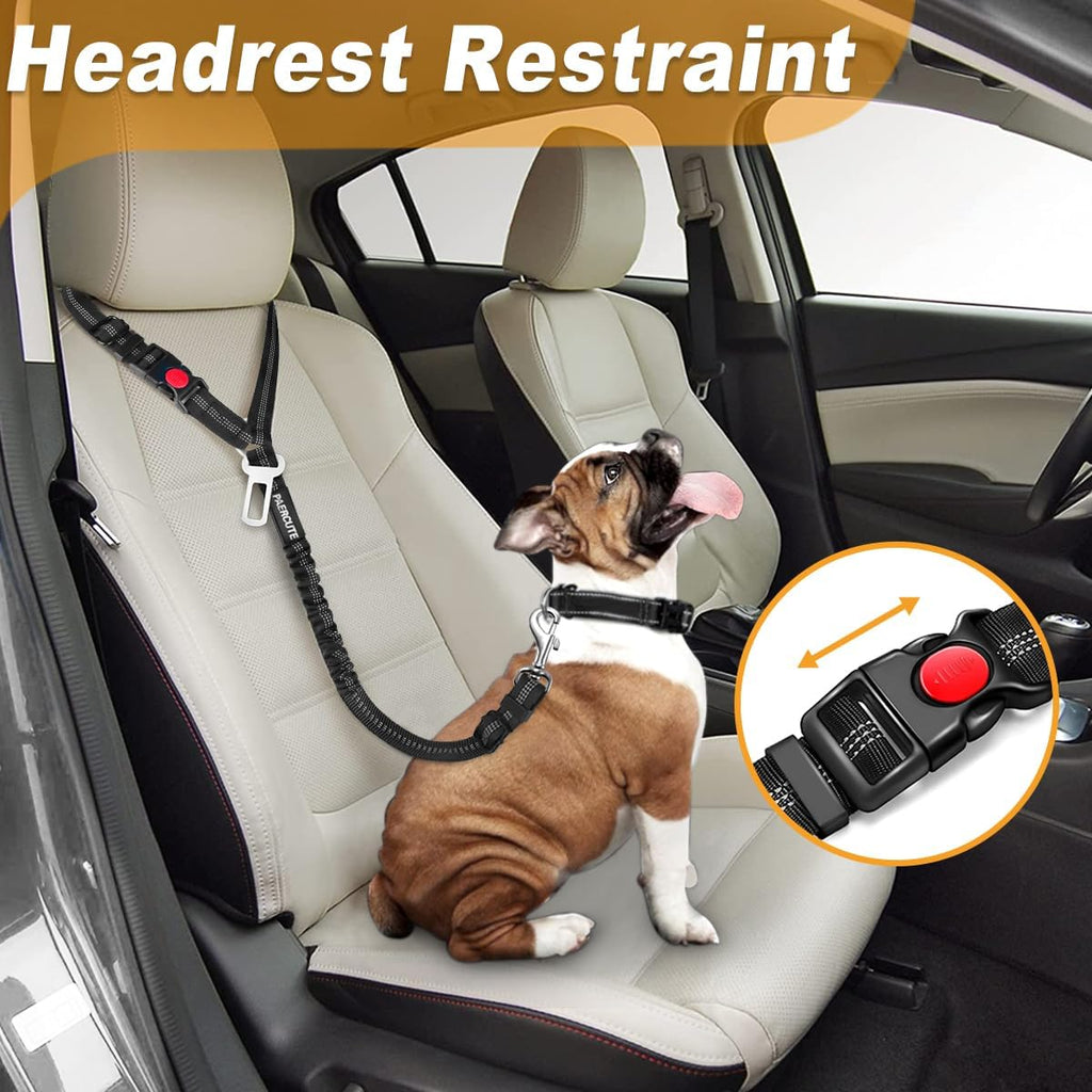 Paercute adjustable dog seat belt with bungee buffer