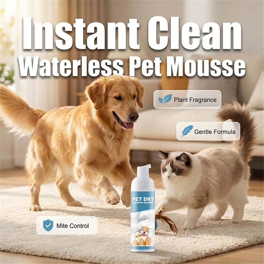 No rinse dry grooming foam applied to a dog's dirty paw pads.
