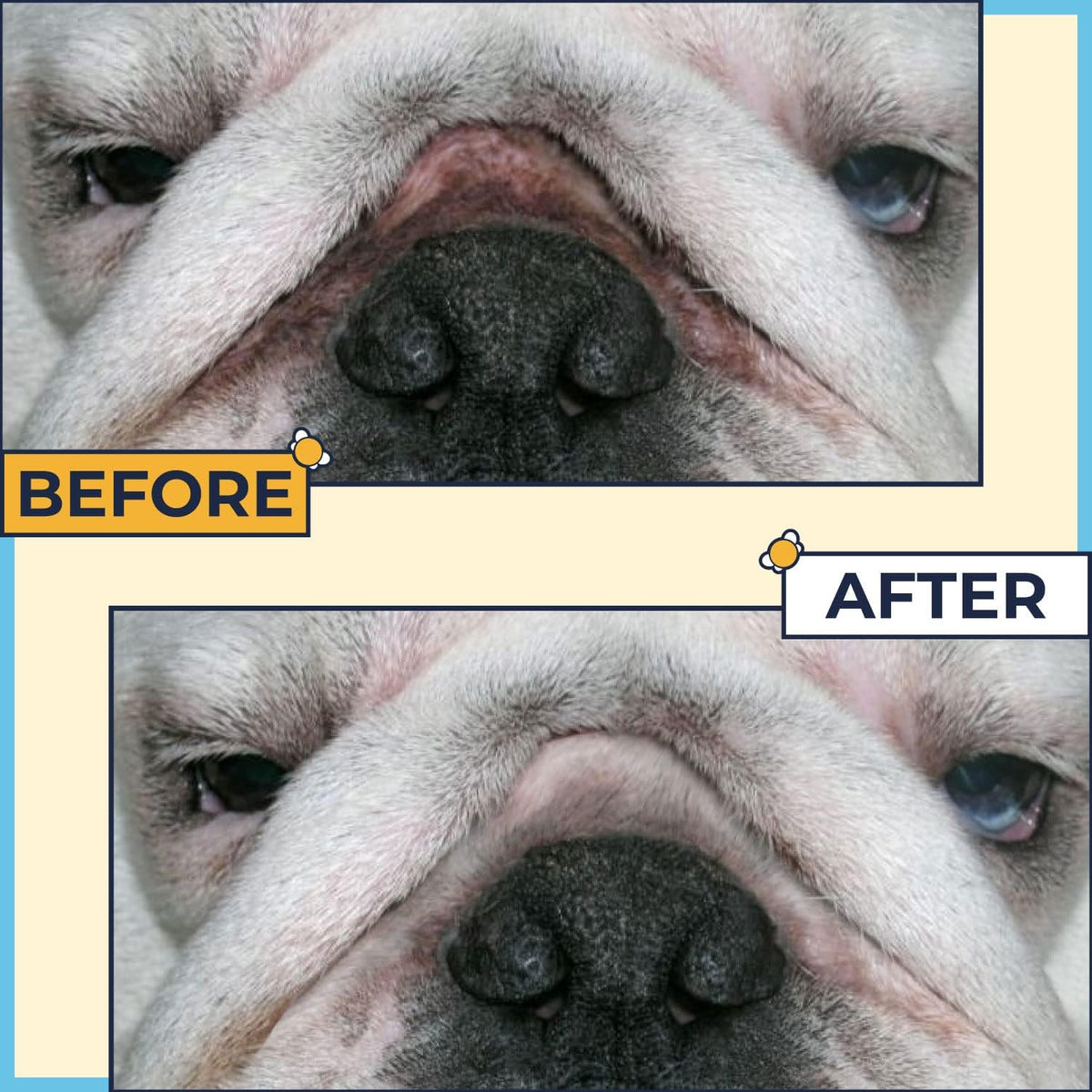 Two Ounce dog wrinkle cream paste for treating raw skin fold rashes