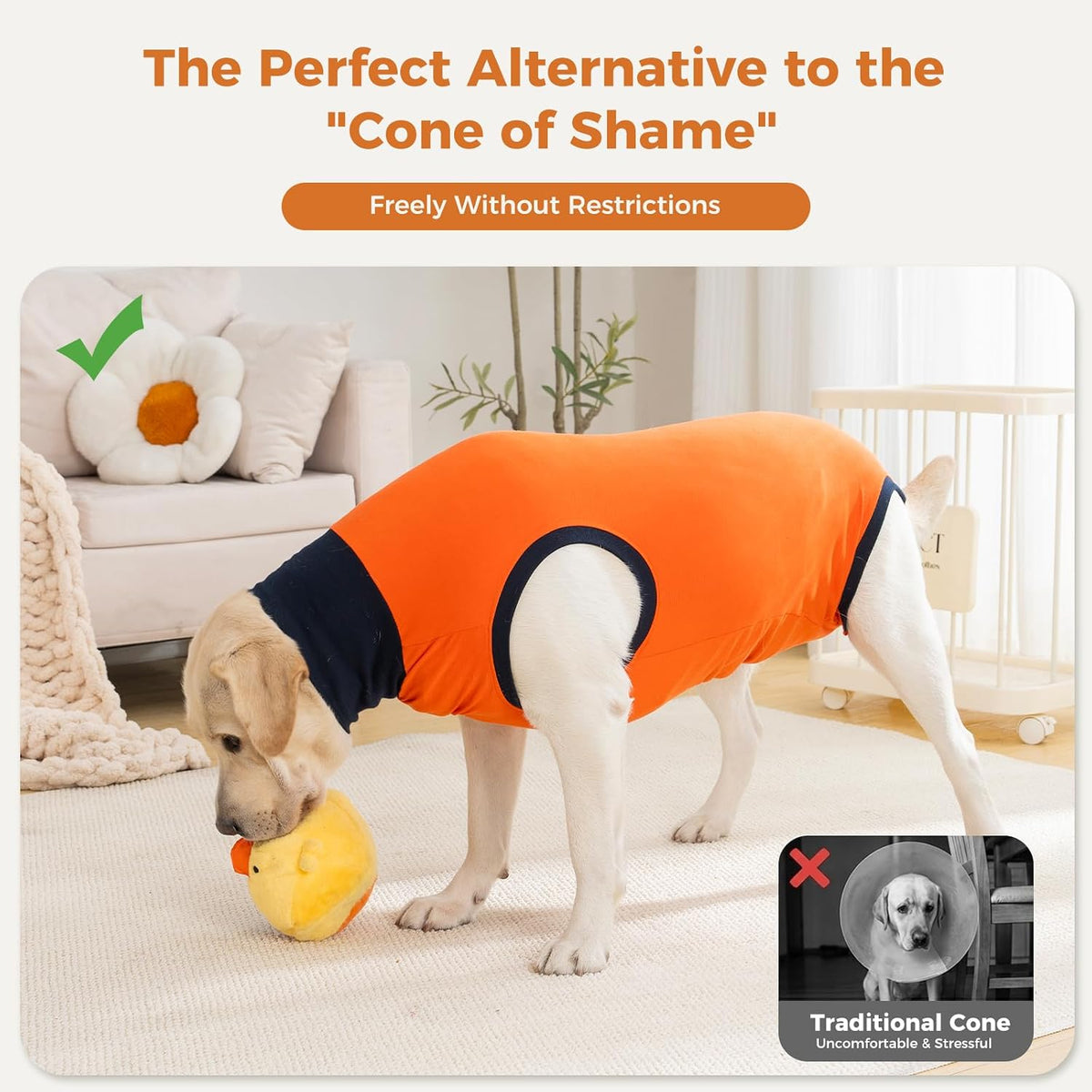 Avont surgical bodysuit for spay and neuter alternative orange color back view showing tail hole