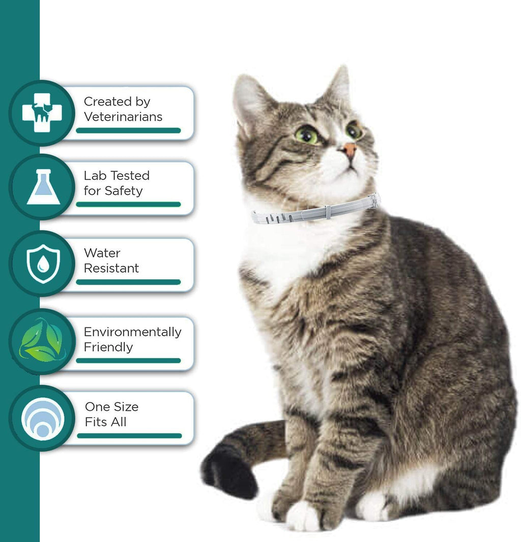 Cat wearing adjustable ShengKou flea and tick collar