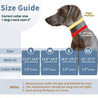 Mayerzon green dog training collar quick release buckle detail view