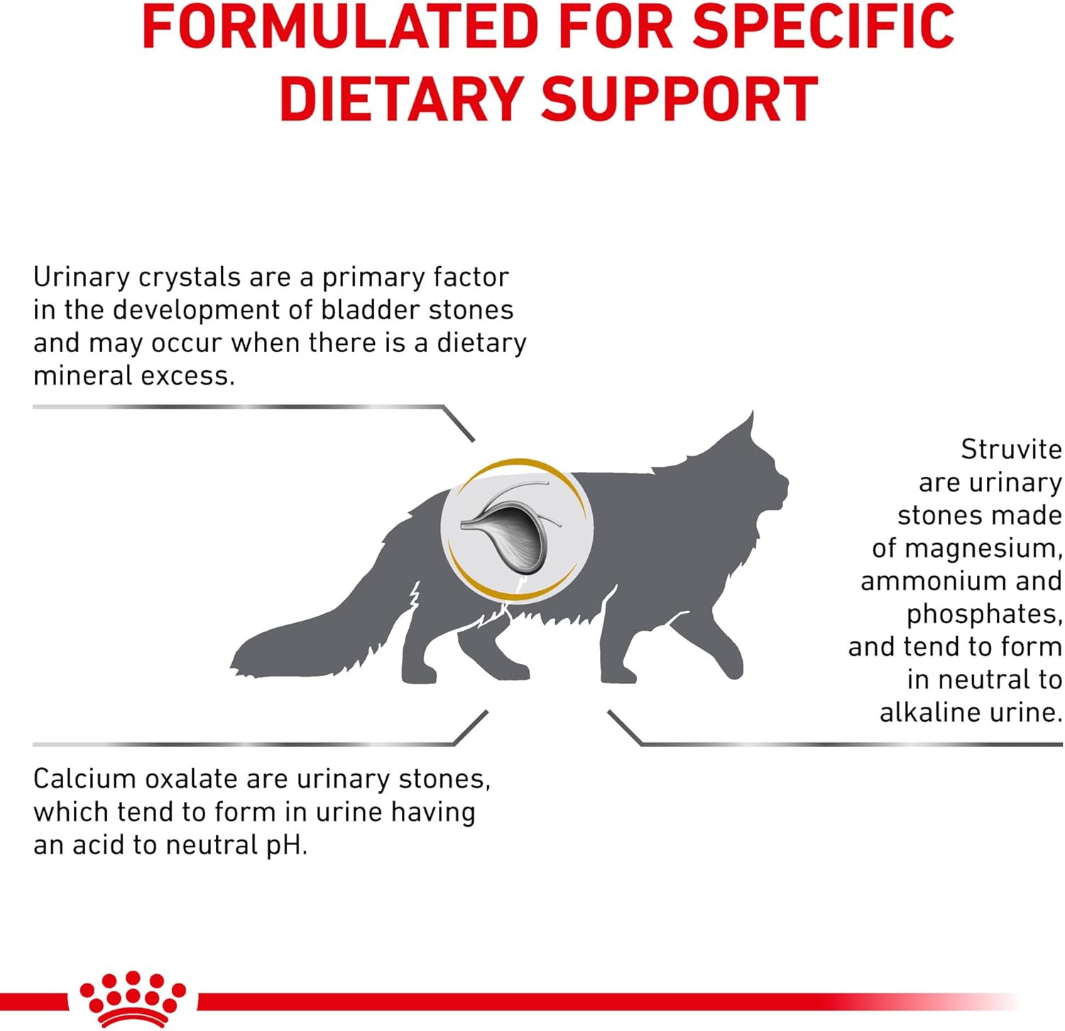 Royal Canin prescription dry food for cat urinary tract health