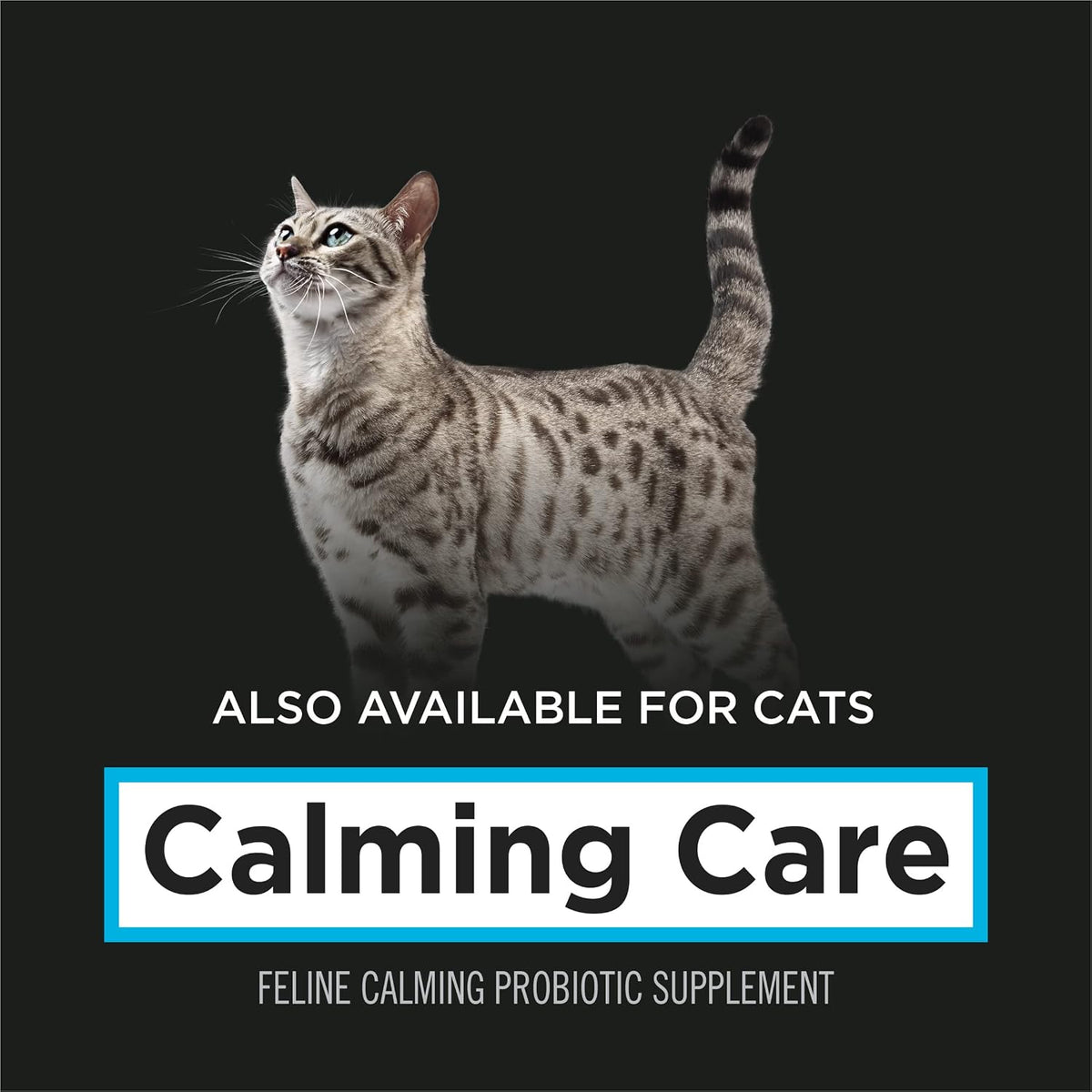 Close up of Purina probiotic anxiety supplement box back details