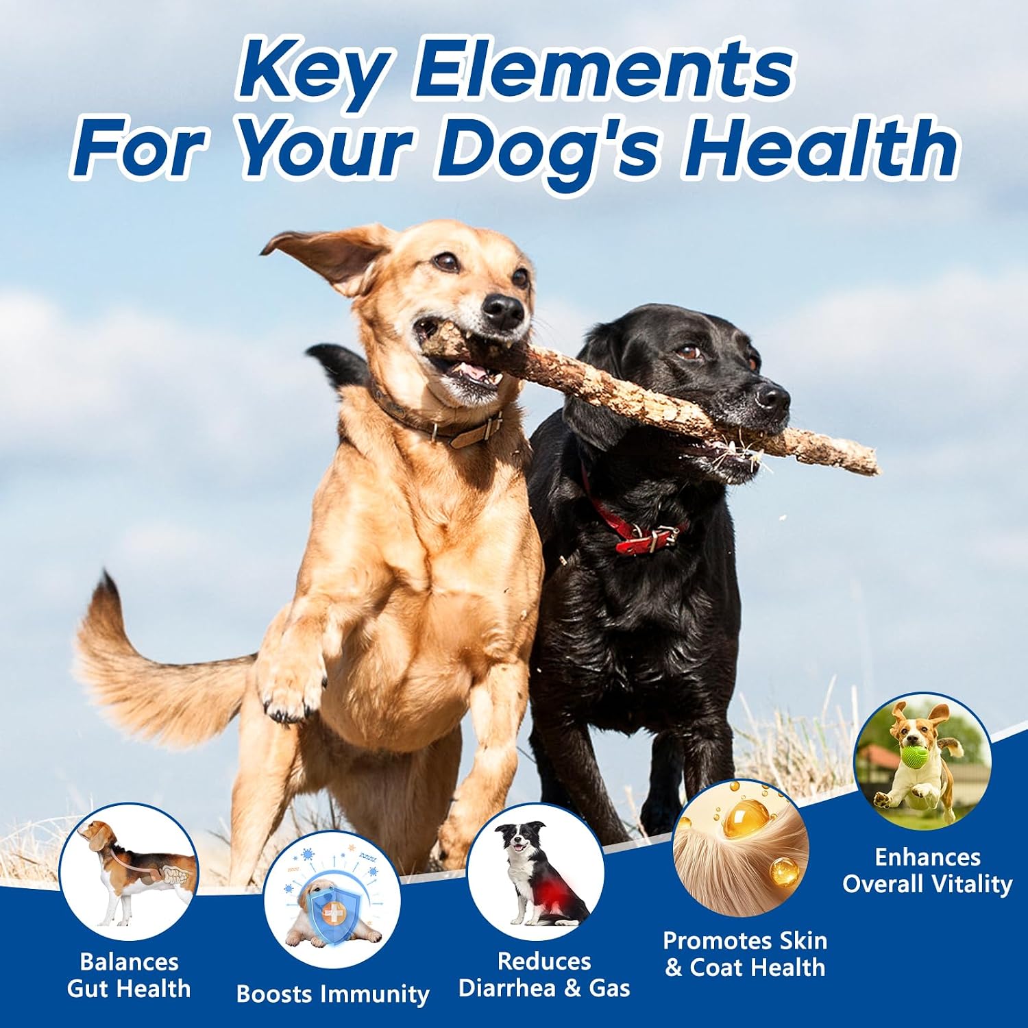 GuruAmi allergy immune support chews for dog seasonal skin itching
