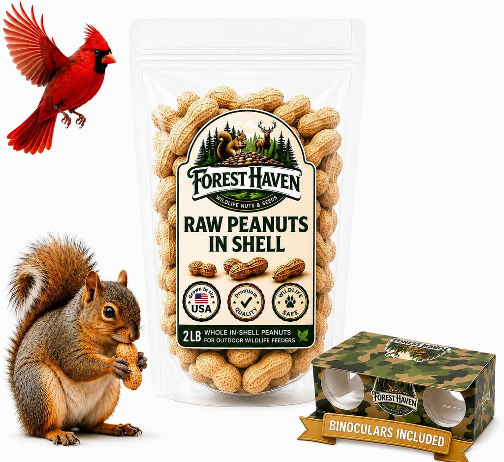 Backyard wildlife feeding setup with peanuts