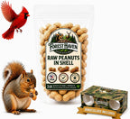 Backyard wildlife feeding setup with peanuts