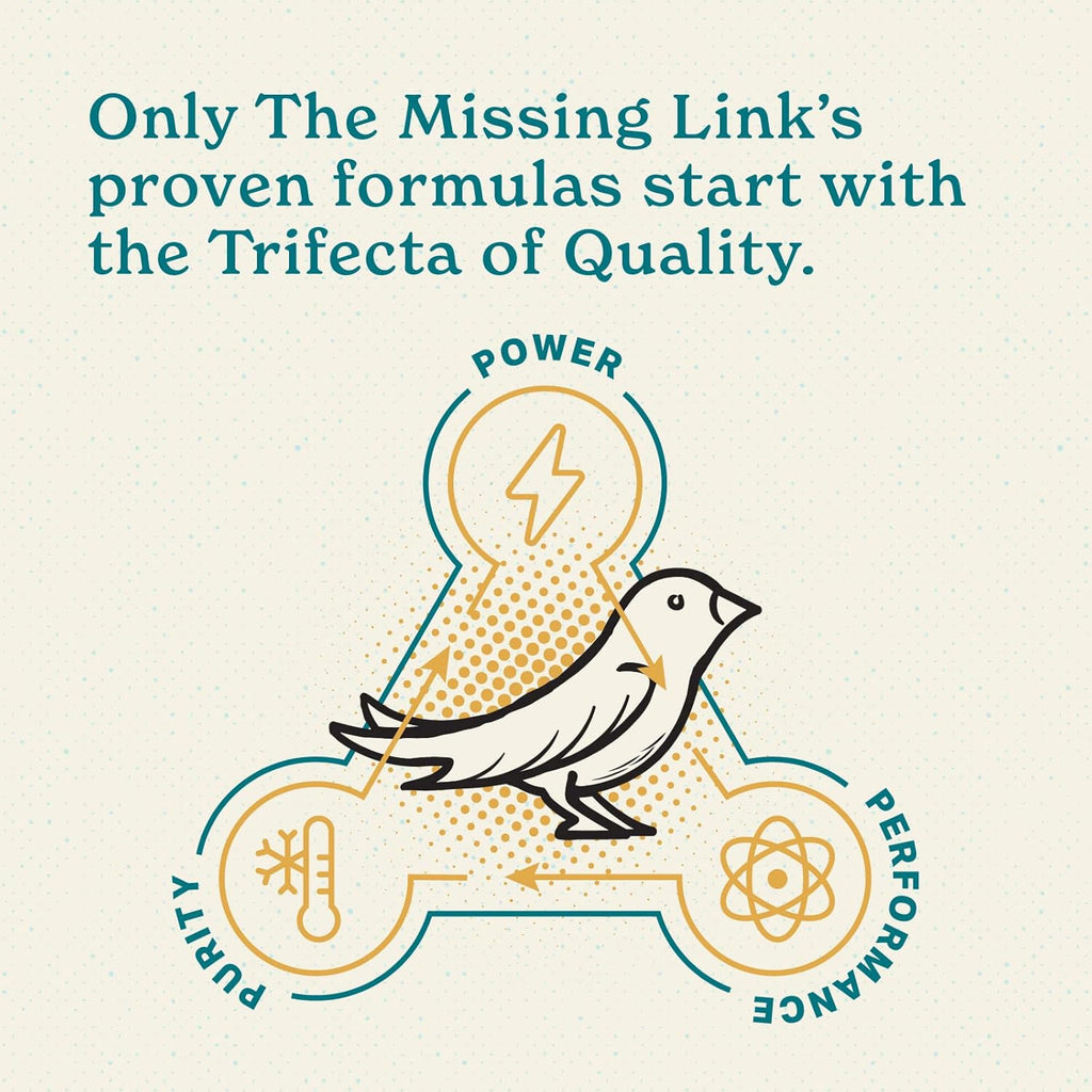 Healthy parrot eating food mixed with The Missing Link supplement