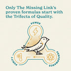 Healthy parrot eating food mixed with The Missing Link supplement