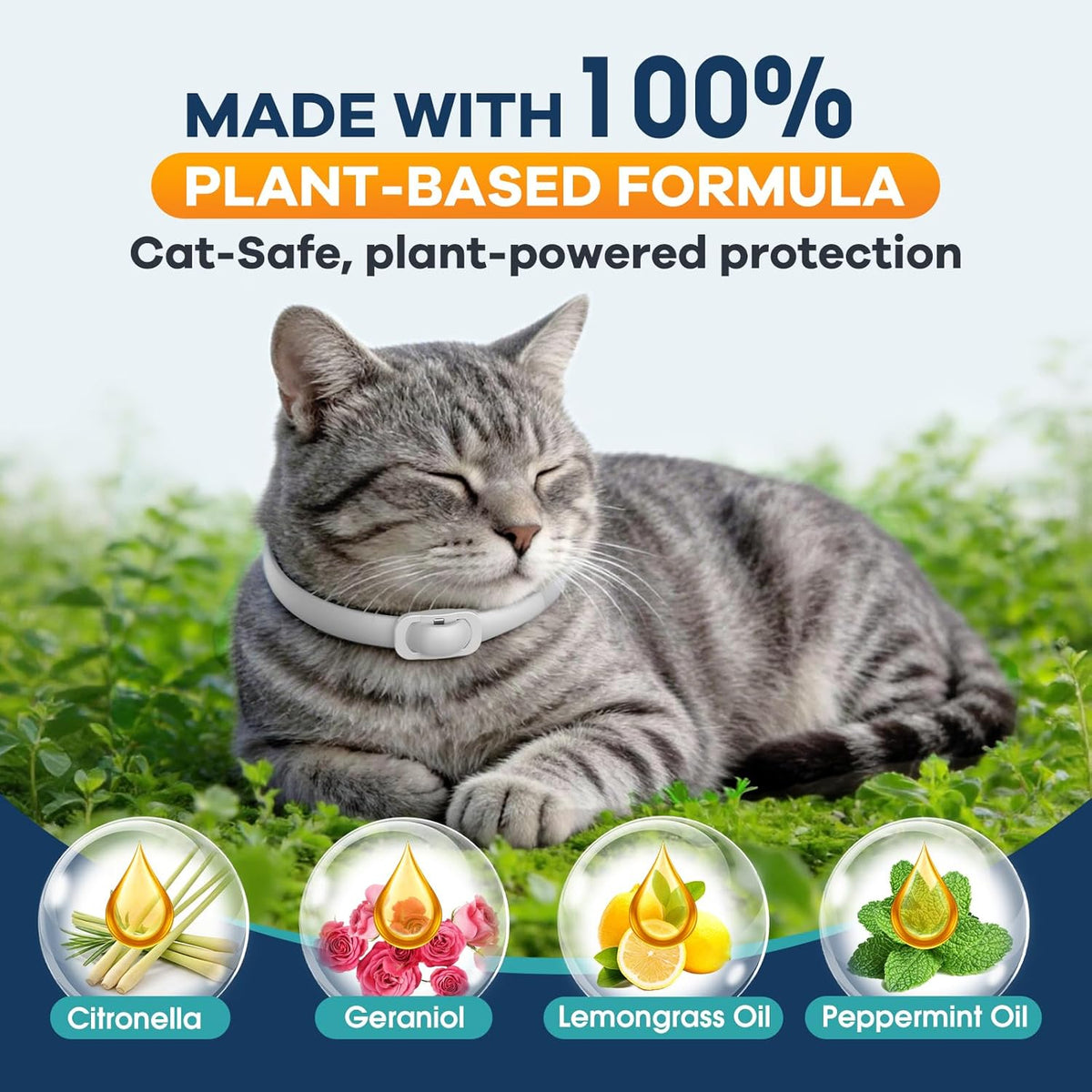 Water resistant flea and tick collar for cats close up