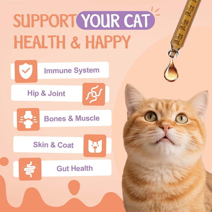 Healthy senior cat showing improved mobility after collagen supplement