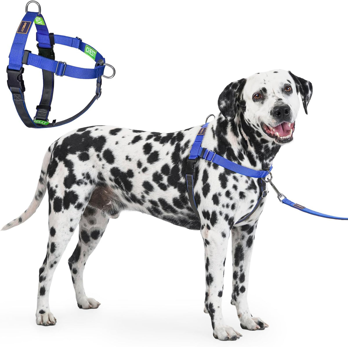 Freedom No Pull Dog Harness, Designed for Hound Dog Train, Easy Walk with 2 Stainless D-Rings, Sewn-in Instructions Tags for Easy Use, for Large Dogs Weight 60-80 lbs (Purple, L) - Image 9