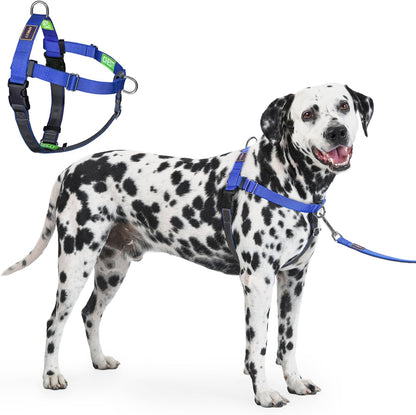 Freedom No Pull Dog Harness, Designed for Hound Dog Train, Easy Walk with 2 Stainless D-Rings, Sewn-in Instructions Tags for Easy Use, for Large Dogs Weight 60-80 lbs (Purple, L) - Image 9