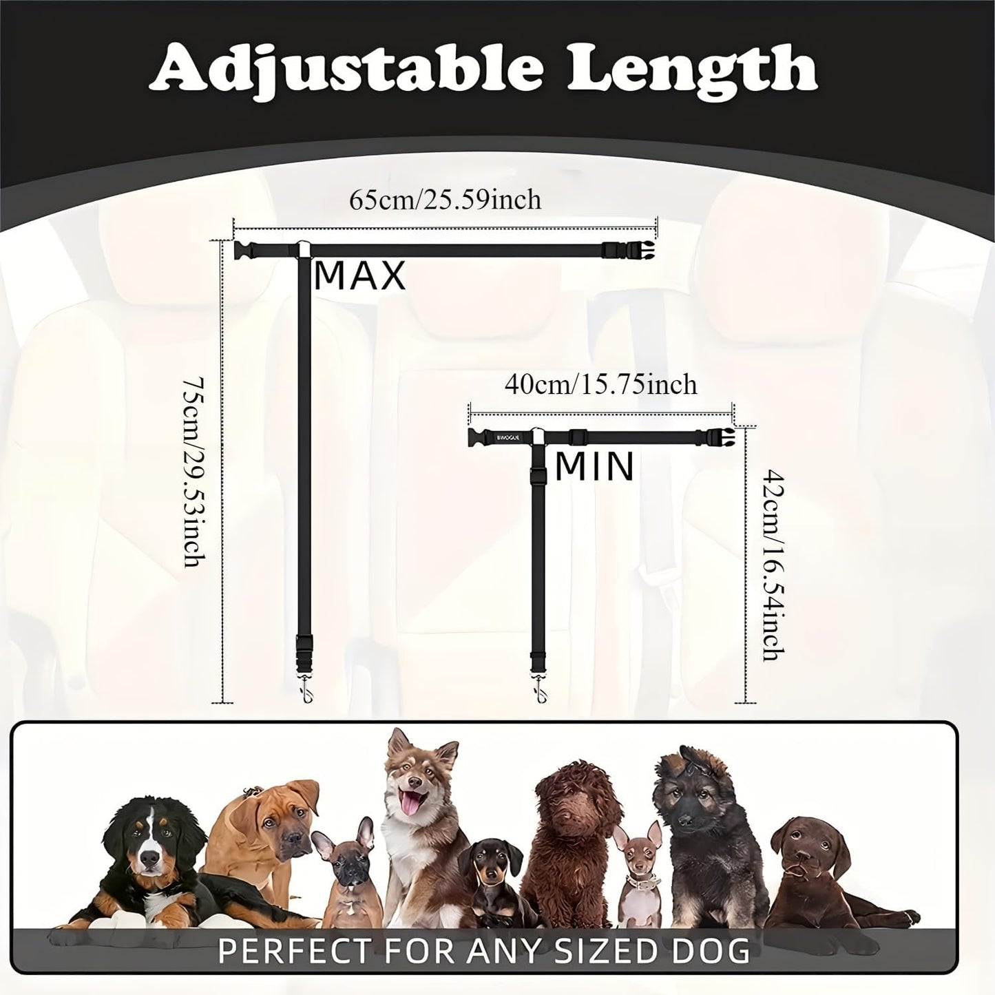 Secure travel solution for dogs in cars